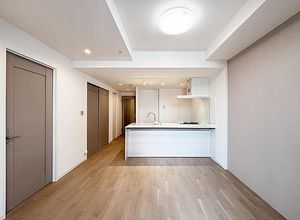 東京都港区芝浦自住公寓2居室