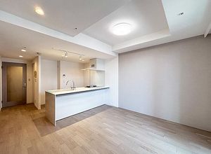 東京都港区芝浦自住公寓2居室